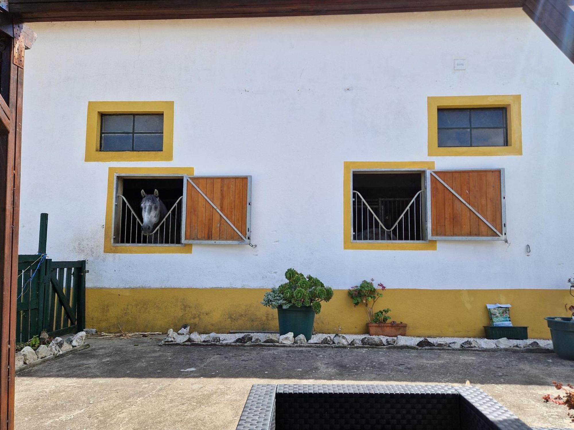 Horse Riding Country House 발라프란카데지라 외부 사진